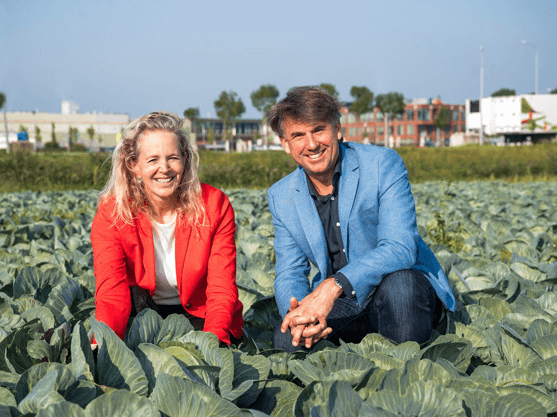 artikel_plaatje